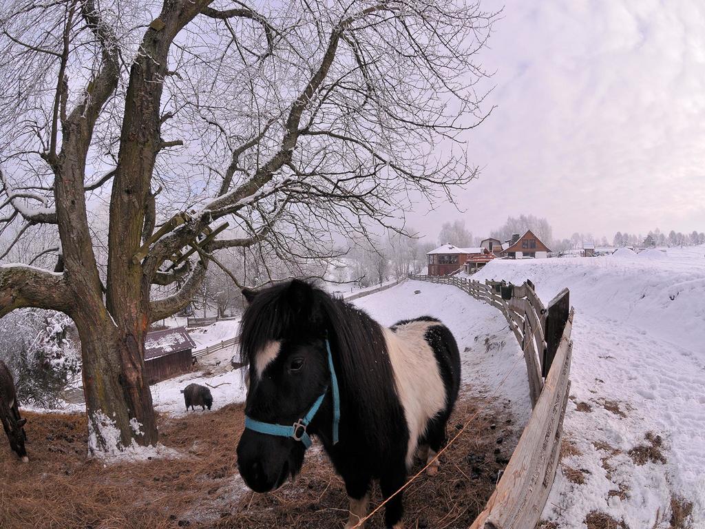 Villa Rancho Zapotoczny Łagów Esterno foto
